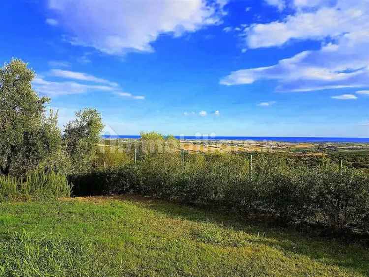 Villa unifamiliare via del Cutignolo, Centro, Capalbio