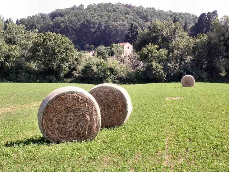 Casale via Peppino Impastato, Collesalvetti