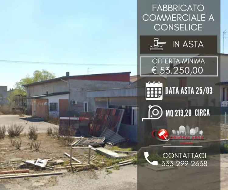 Rustico - casale all'asta via Guglielmo Marconi, 37B, 48017 Conselice Italia, Conselice