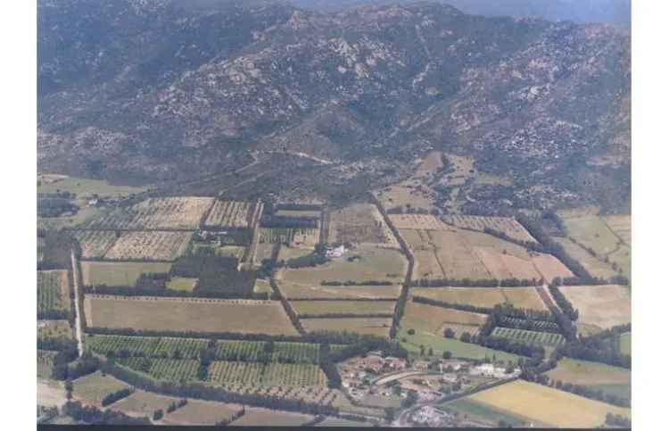 Terreno Agricolo/Coltura in vendita a San Vito