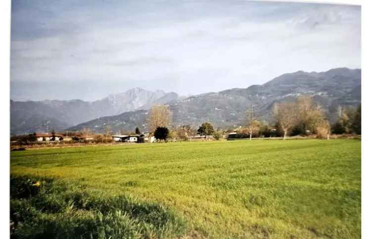 Terreno Agricolo/Coltura in vendita a Pietrasanta