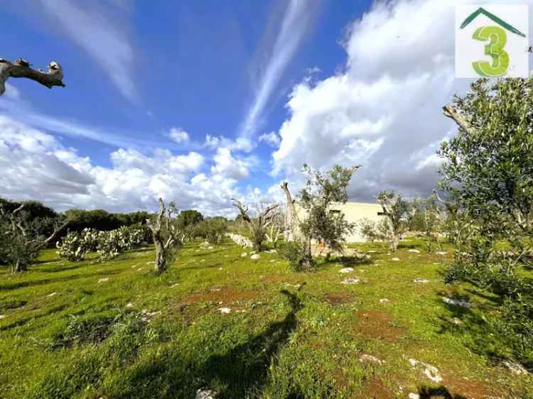 Terratetto unifamiliare via Madonna di Fatima, Centro, Tricase