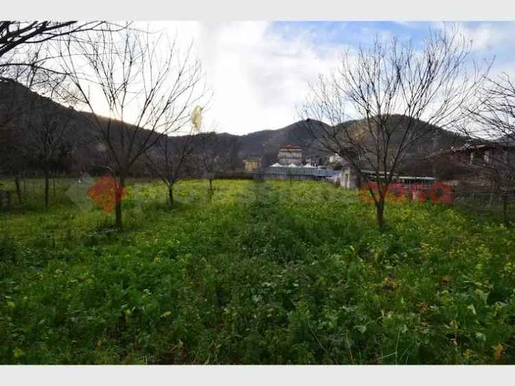 Terreno non edificabile in vendita  a Castel San Giorgio