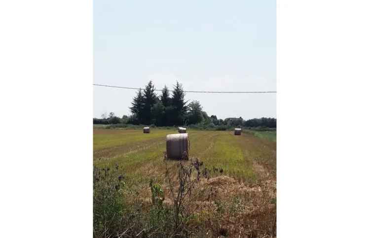 Terreno Agricolo/Coltura in vendita a Legnano, Strada Valignana 1