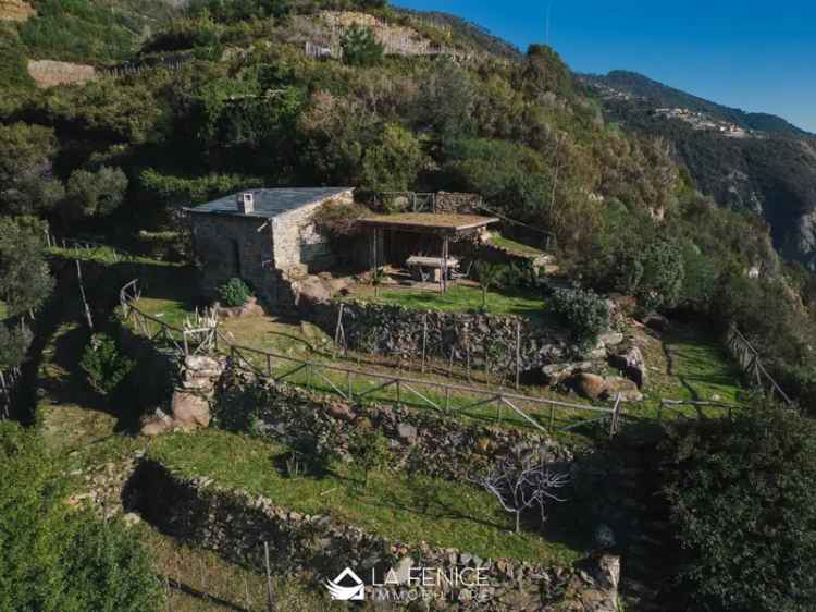 Rustico via Litoranea, Riomaggiore