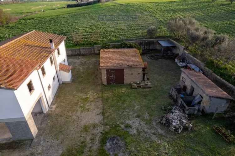 Casale Località La Moletta, Montalto di Castro