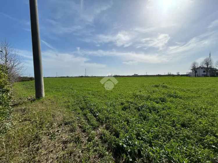 Ter. agricolo in vendita