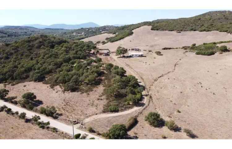 Terreno Agricolo/Coltura in vendita a Alghero