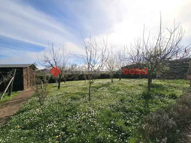 Appartamento in vendita  a Sovicille