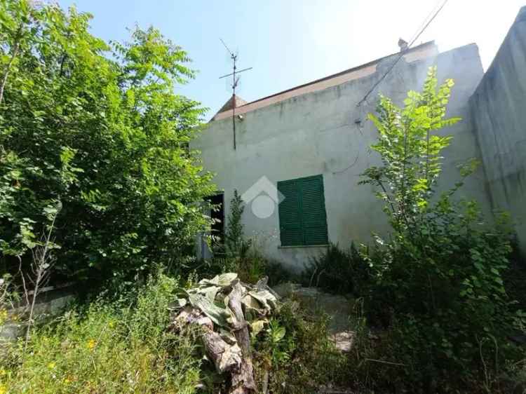 Casa colonica Vico Telese 11, Santa Maria a Vico