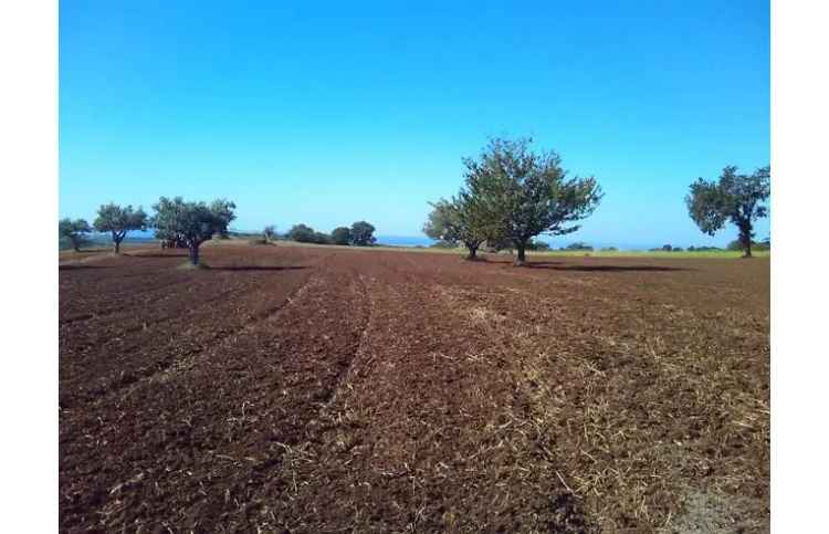 Rustico/Casale in vendita a Santa Domenica Talao