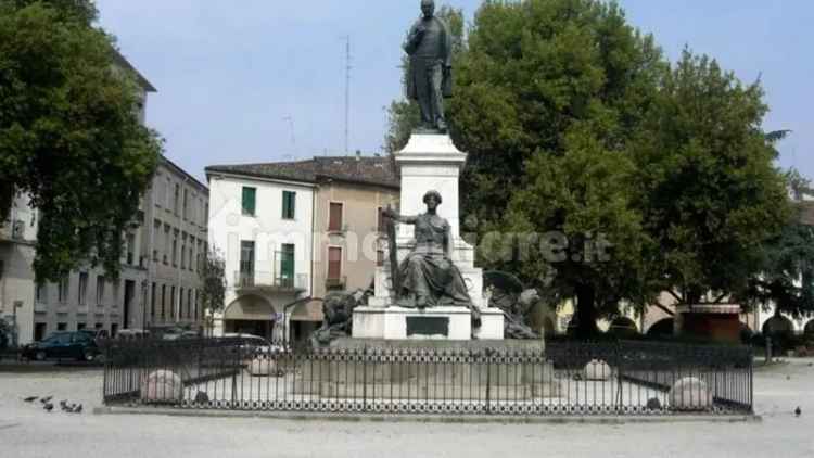 Trilocale via Francesco Petrarca, Savonarola - Ponte Molino, Padova