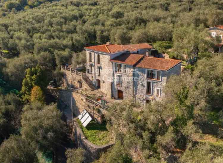 Villa singola in Via Costa, Pontedassio, 11 locali, 3 bagni, 390 m²