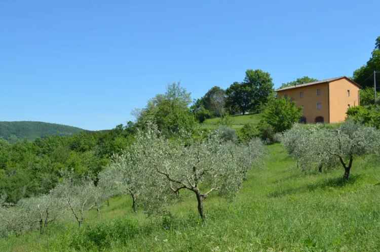 Appartamento Strada Provinciale Galleraie, Montieri