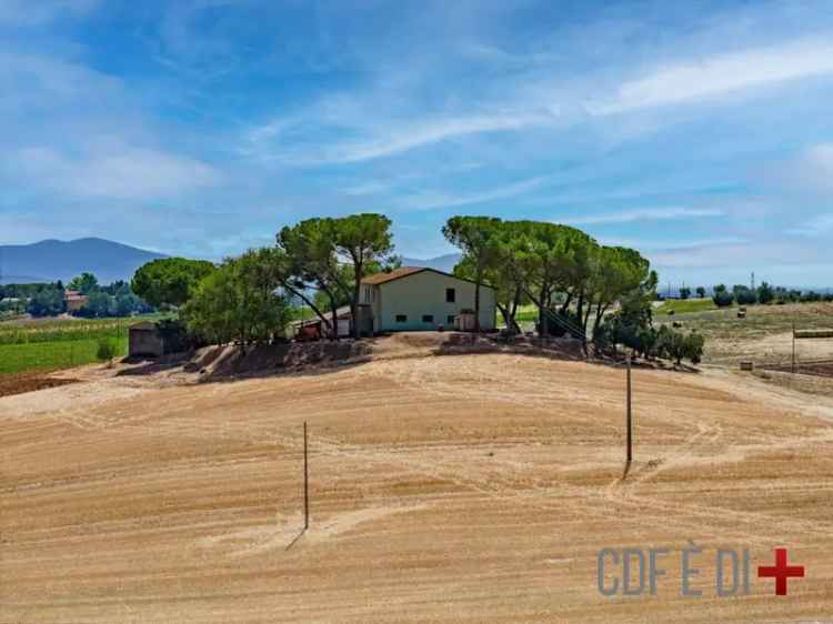 Casale Strada Provinciale di Montemassi, Montemassi, Roccastrada