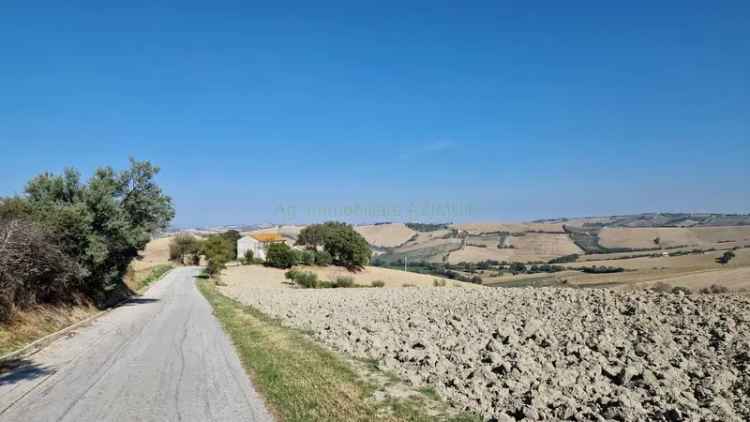 Casa colonica Strada Giardini, Terre Roveresche