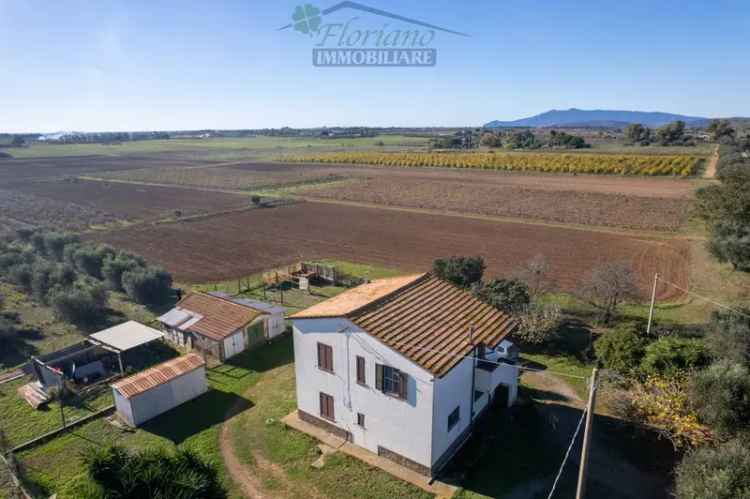 Casale Strada Pedemontana, Borgo Carige, Capalbio