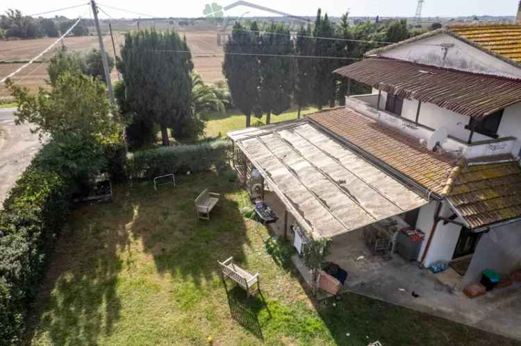 Casale Strada Pedemontana, Borgo Carige, Capalbio