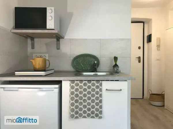 Appartamento In Affitto in Torino, Piemonte