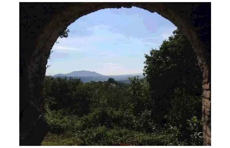 Rustico/Casale in vendita a Poggio Mirteto