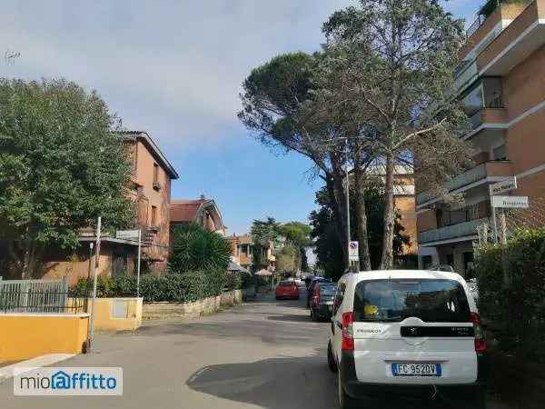 Affitto Appartamento 40 mq Vibo Valentia Giardino Terrazzato