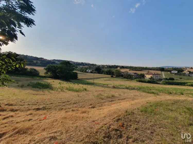 Vendita terreno di 30.000 m² in Castelfidardo (60022) - 96212 - iad