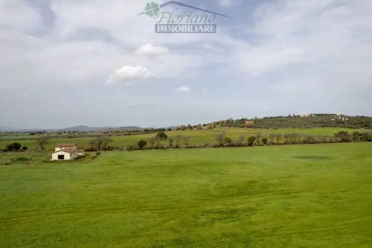 Villa unifamiliare Strada Provinciale Pescia Fiorentina, Capalbio