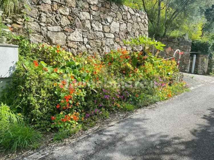 Rustico via ciantagalletto, Lavagnola, Santuario, Montemoro, Savona