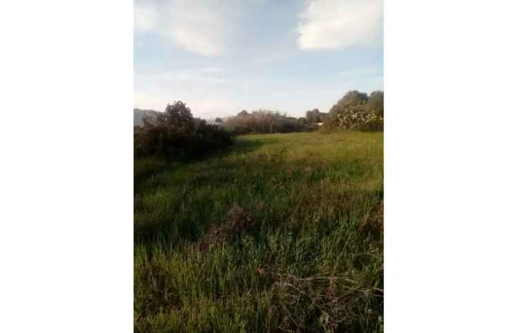 Terreno Agricolo/Coltura in vendita a Pula