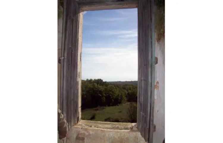 Terreno Agricolo/Coltura in vendita a Monte Sant'Angelo, Via Estramurale 62