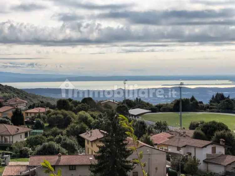 Terratetto plurifamiliare vicolo dei Mille, Centro, Serle