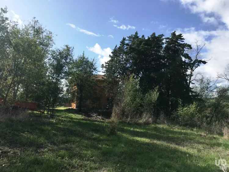 Vendita terreno di 146.843 m² in Scansano (58054) - 106175 - iad