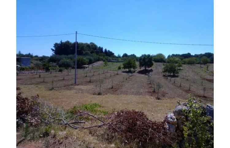 Terreno Edificabile Residenziale in vendita a Martina Franca, Strada Provinciale 66 1