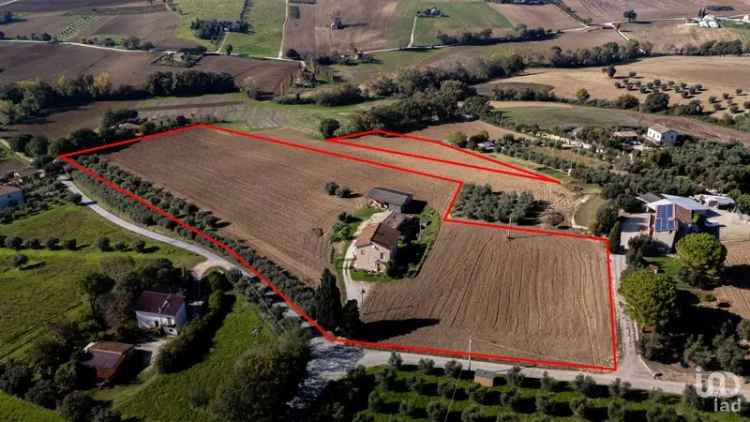 Vendita terreno di 33.450 m² in Montecosaro (62010) - 129491 - iad