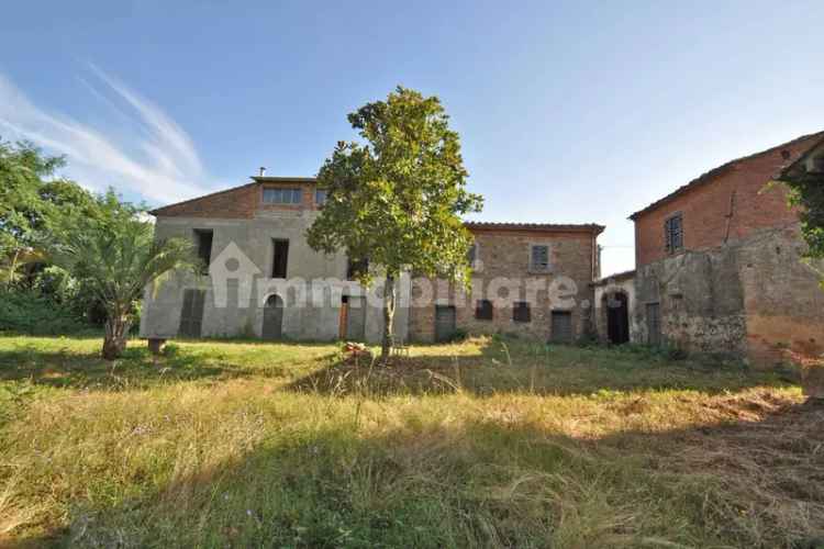 Rustico Alberoro, Monte San Savino