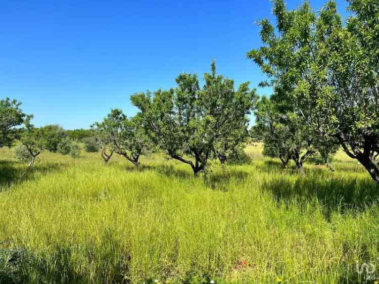 Vendita terreno di 8.851 m² in Ostuni (72017) - 99699 - iad