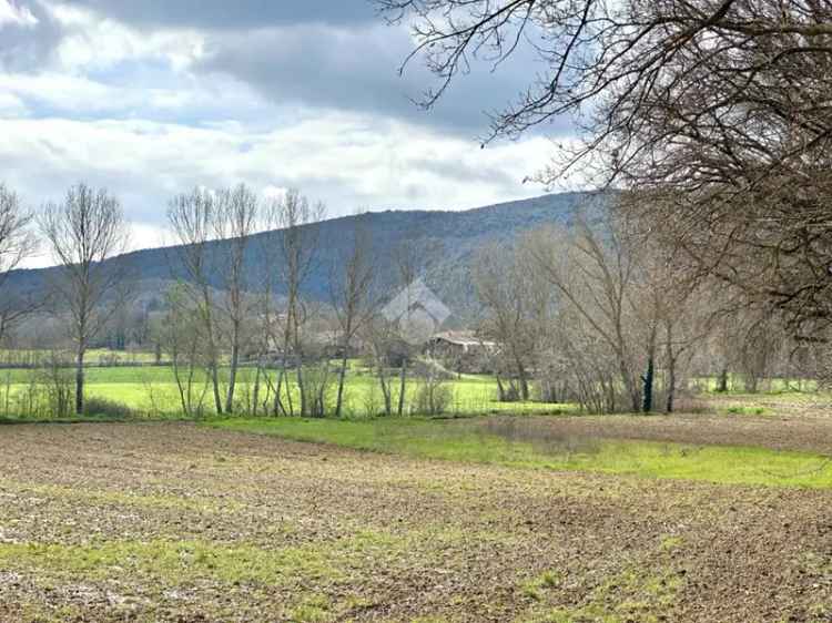 Ter. agricolo in vendita