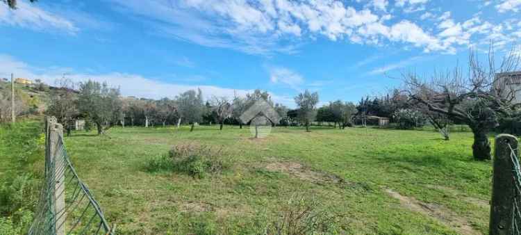 Ter. agricolo in vendita