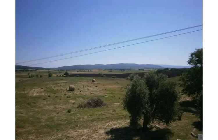 Affitto Rustico/Casale Vacanze a Magliano in Toscana