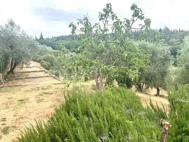 Appartamento in affitto a Firenze via di Vincigliata