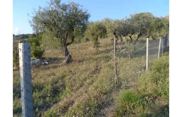 Terreno Agricolo/Coltura in vendita a Guardia Sanframondi