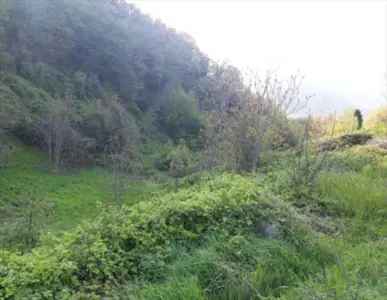 Terreni Agricoli in Vendita Sarnico Bergamo