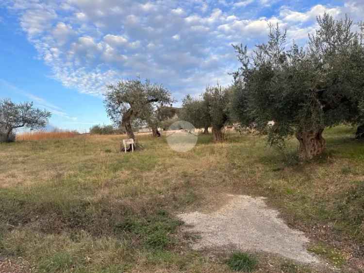 Ter. agricolo in vendita