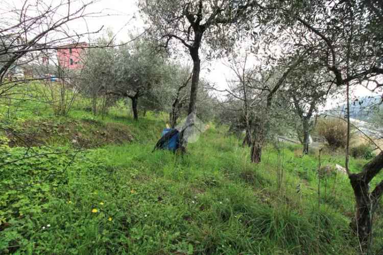 Ter. agricolo in vendita