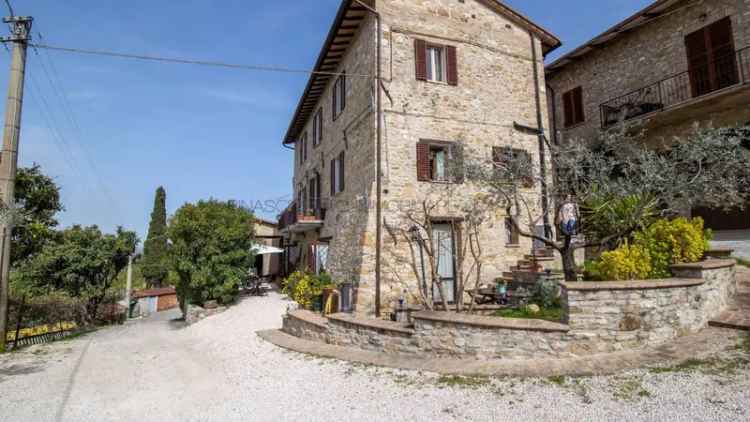 Rustico via Madre Terra, San Damiano, Rivotorto, Capodacqua, Assisi