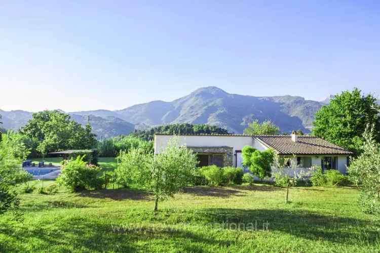 Villa unifamiliare via Colletto Zacconi, Camaiore Paese, Camaiore