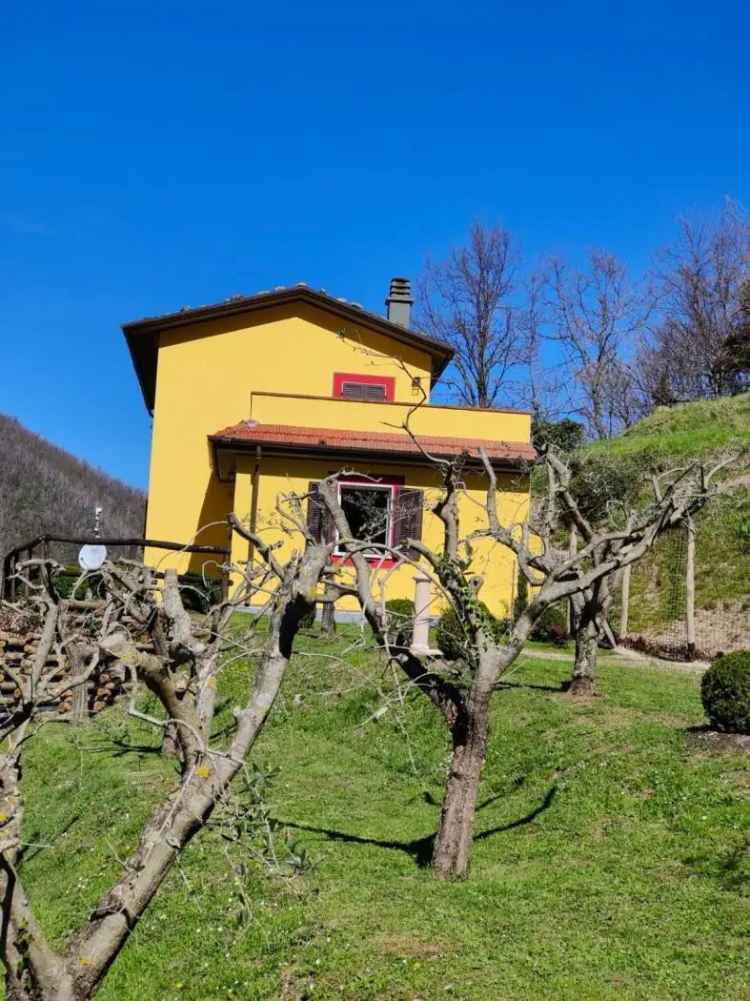 Villa unifamiliare Strada Provinciale di Tenerano, Fivizzano