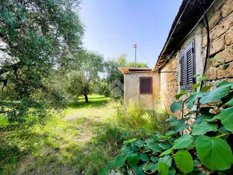 Casa colonica via della Vite 9, Cisterna di Latina