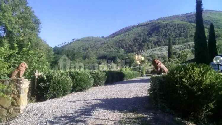 Rustico Capannori, via di Sant'Andrea, Pieve di Compito - Sant'Andrea di Compito, Capannori