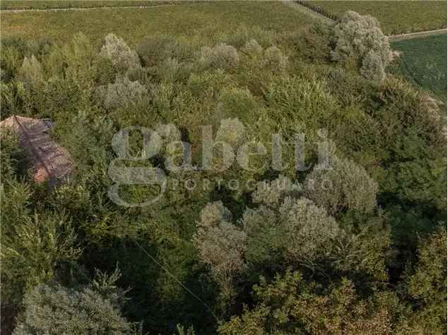 Terreno edificabile in Via Stradone, 14, Pramaggiore (VE)